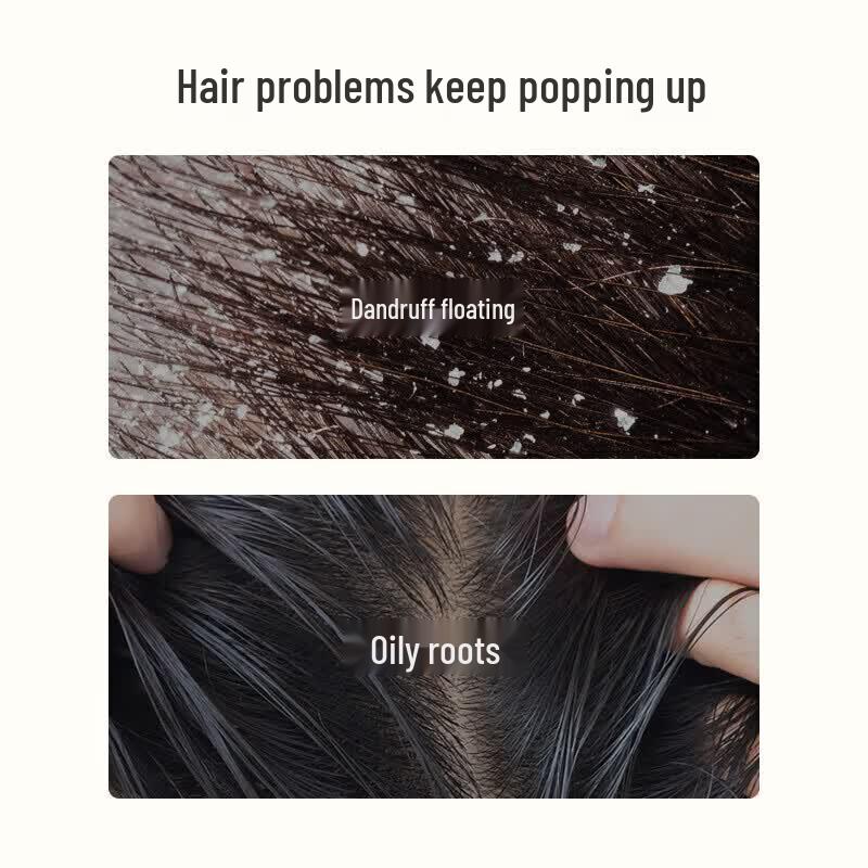 Fung Faa Sapindus Anti-Dandruff Oil Control Shampoo