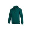 Adidas Sweatshirts Men's Green Hooded Moderate Regular H39273
