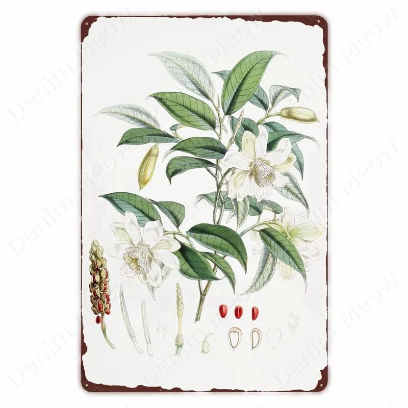 VegFruitVintageSign Vegetable Plants Retro Poster - Fruits/Cauliflower Vintage Metal Tin Sign, Garden/Kitchen Farm Wall Decor