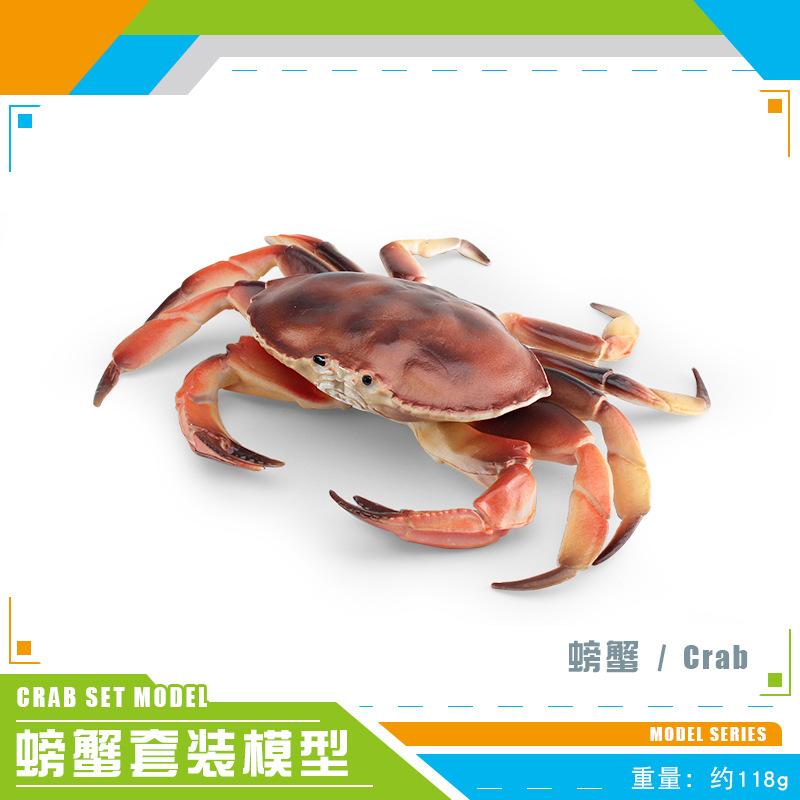 Simulated Marine Animal Crab Model, Children'S Cognition Three-Eye Crab Swimming Crab Bread Crab Ornament Toy