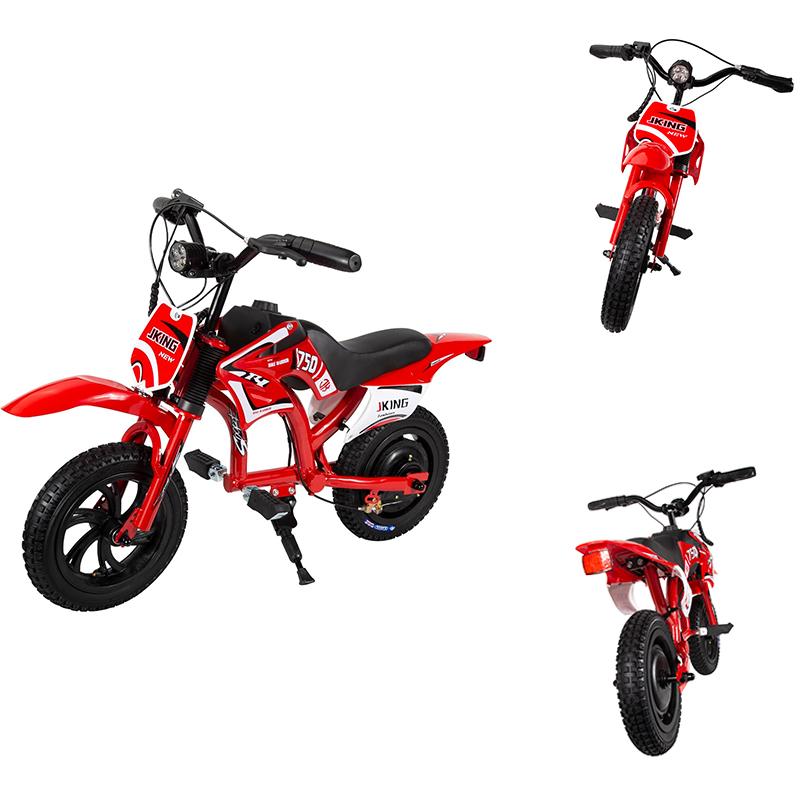 Kids Electric Dirt Bike C6,12'' 300W Brushless Motor,3-Speed LCD,16km/h,LED Controller,Moto Sound,12km Range,Electric Motorcycle for Childer