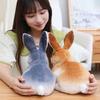 Soft Skin-friendly Rabbit Plush Toy Long Ears Realistic Rabbit Plush  Birthday Gift