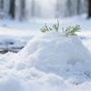 Handmade Artificial Snowflakes for Window Displays & Snow Simulations