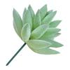 Fleshy Simulated Succulent Flocking Home Plant Flower Head