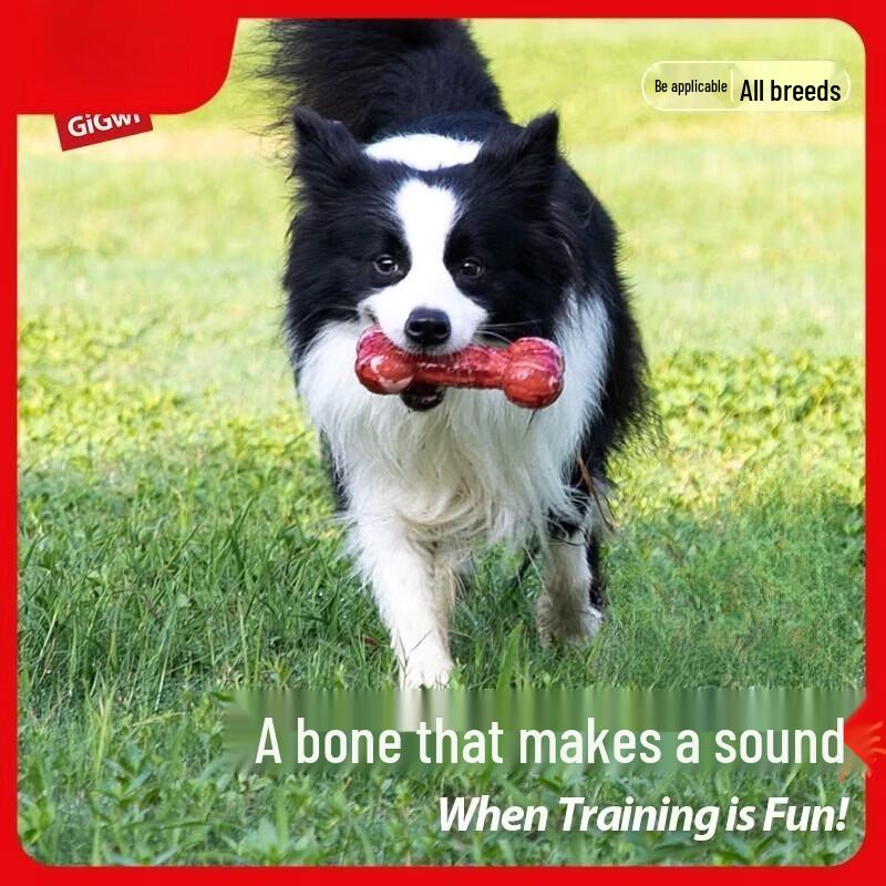 GiGwi Squeaky Chew Bone Dog Toy