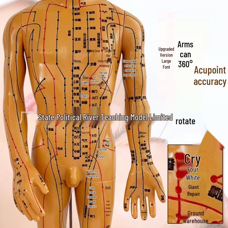 Ultra Clear Small Bronze Acupuncture Model: Human Body Meridian for Traditional Chinese Medicine Teaching 50 cm