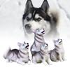 Charming Husky Puppy Resin Sculpture Cute Animal Decoration For Plant Terrarium