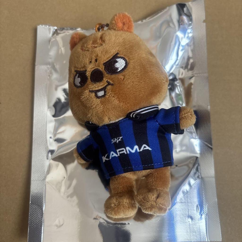 [USED] straykids KARMA skzoo ver. Hank Vodka