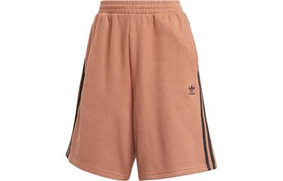 Partea inferioară (Îmbrăcăminte damă) – Pantaloni scurţi