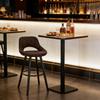 Chic Dining Chair, Multifunctional Chair, Backrest for Dining Chairs, Bar Stool, for Kitchens, Bars, Jewelry Stores (Only One Bar Stool Included)