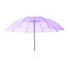 Automatic Long-handled Transparent Umbrella, Enlarged Umbrella, Forest Japanese Student Sun Umbrella, Female Straight Umbrella