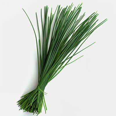500 Chive Seeds