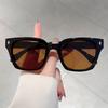 Square Fashion Women Sunglasses Leopard Print Shades Classic Black Men Sun Glasses for Outdoor Vacation Decoration Wear