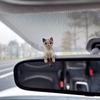 360° Spin Airplanes Car Accessory Strong Auto Interior Decoration Automatic Rotating Airplanes Unique Gift for Car