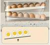 Bilayer Fridge Egg Storage Box Ladder Style Automatic Rolling Egg Holder Rack Refrigerator Dispenser Egg Organizer