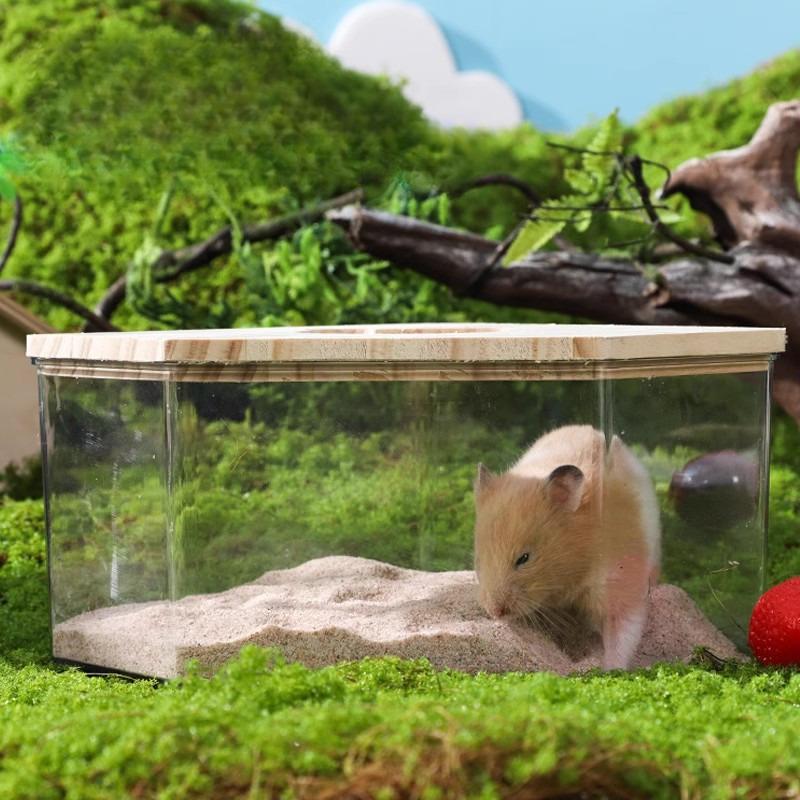 Hamster Sand Bath Box Acrylic Transparent Large Pet Chinchilla Toilet Dual Purpose Bath Sand Urine Basin Golden Bear Cage Clean