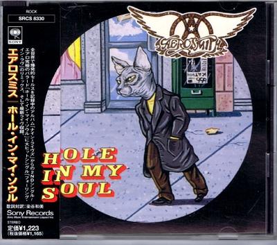 CD AEROSMITH Hole In My Soul SRCS8330 SONY 1997 Japan ObiRock Gebraucht