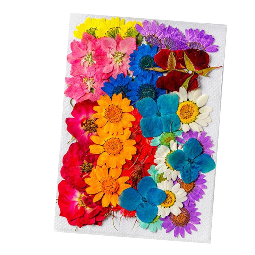 36Pcs Dried Flowers Assorted Styles Colors Natural Material Multi Purpose Dried Flower Heads for Decoration DIY