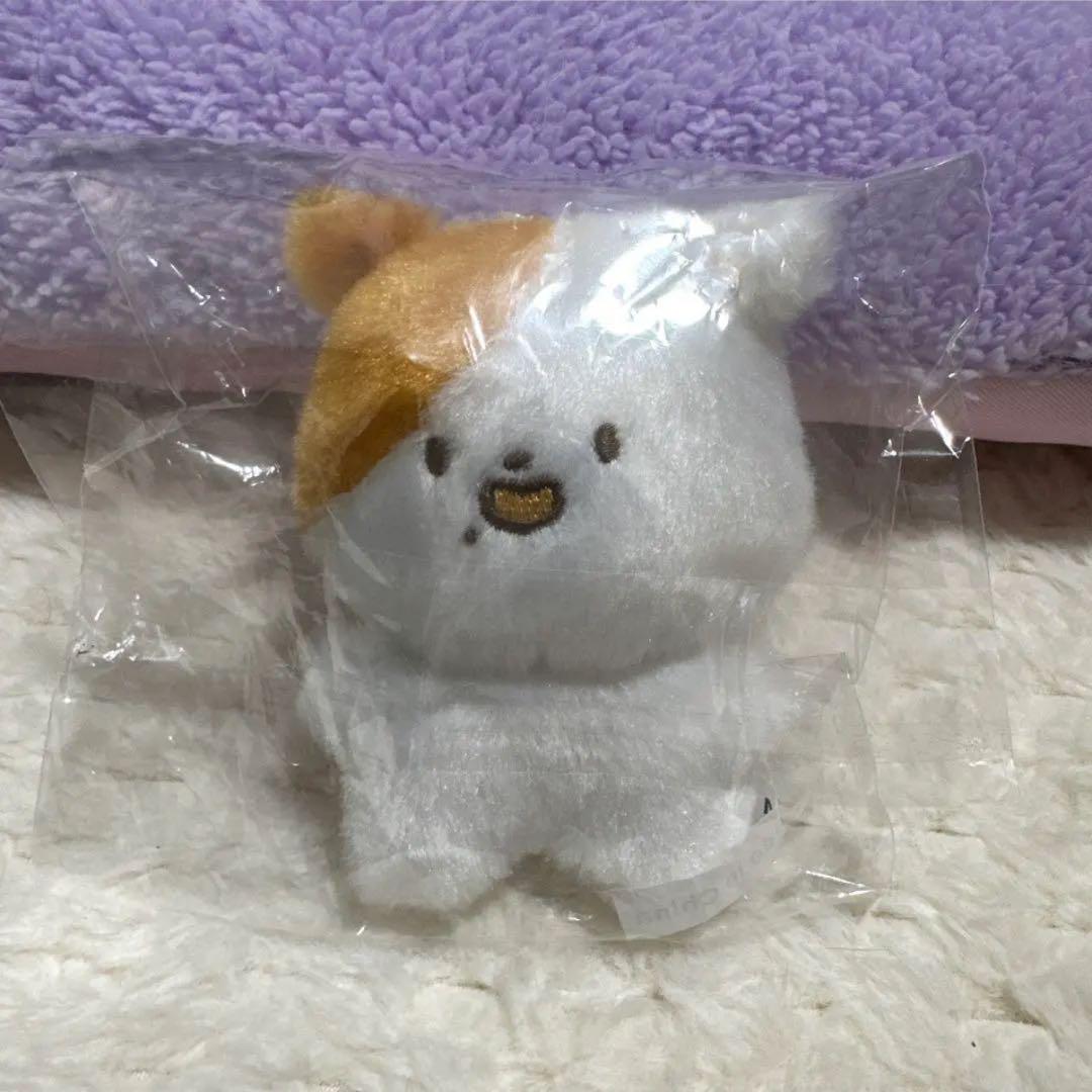 

[USED] NCT DREAM Ji Sung Plush Toy Pokechi