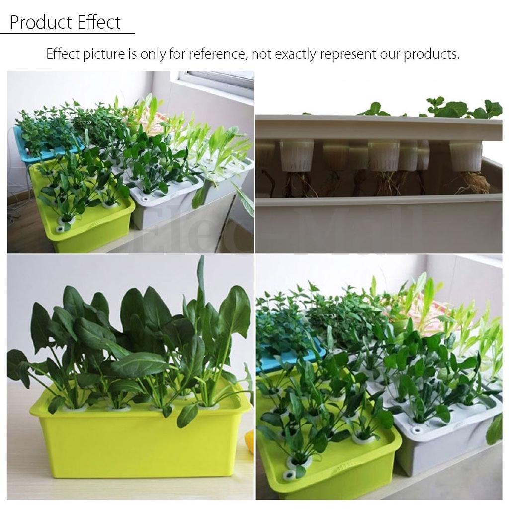 9/24 Holes Indoor Aerobic Soilless Cultivation Plant Floriculture Cultivation Site Hydroponic System Kit 220V