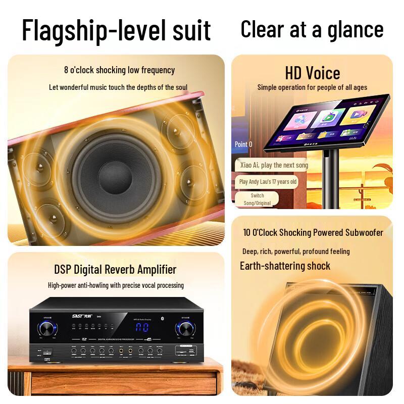 SAST Home Karaoke KTV Sound System (CN version)