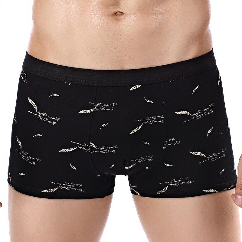 New Mens Underwear Boxer Cotton Homme Print 3D Boxershorts Men Boxers Male Underpants Size Plus XL-4XL