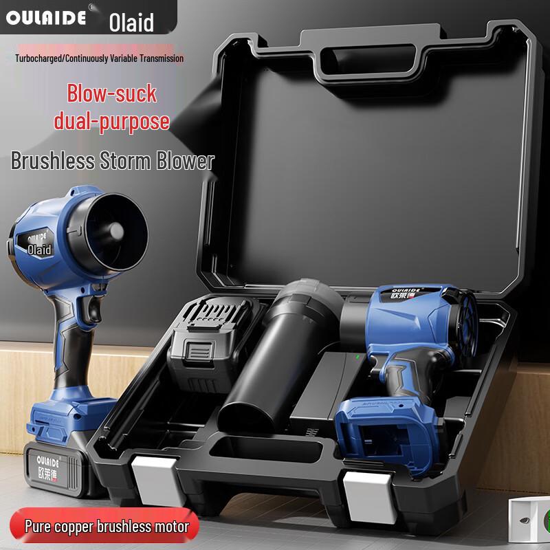 Oulaide Cordless 21V Lithium-Ion Blower Series CN Plug (adapter Included)