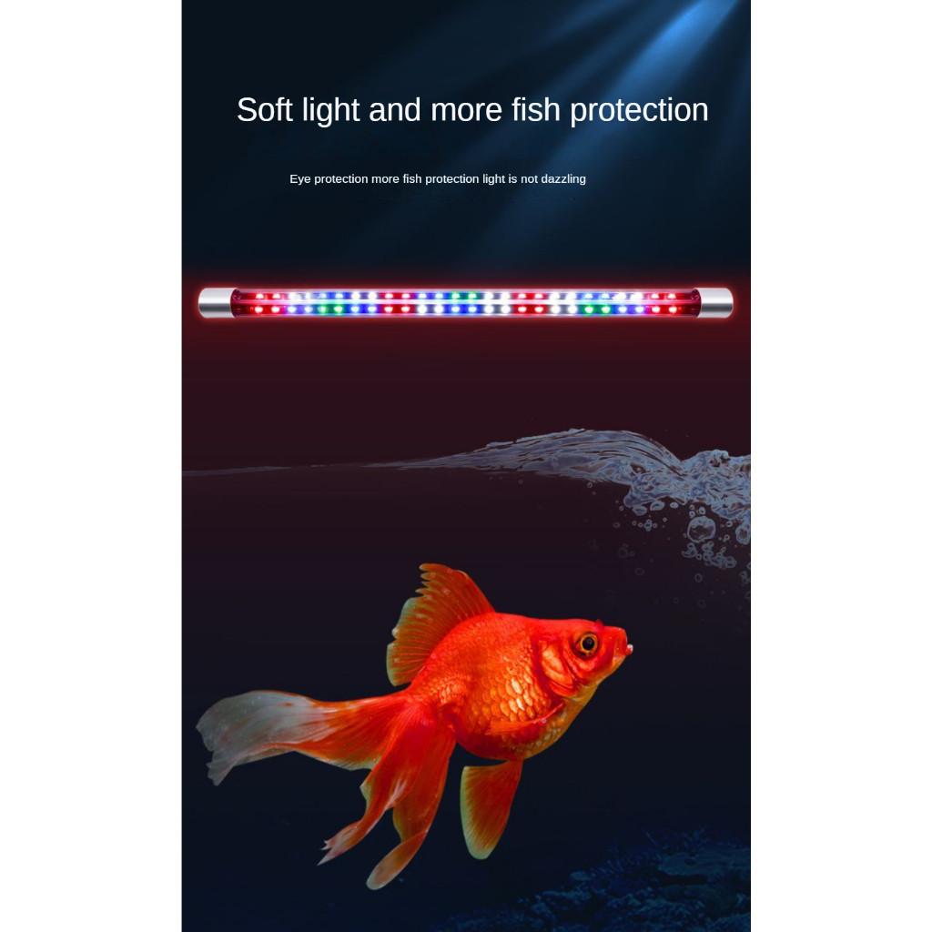 Tube Fish Tank Lighting LED Lamp Full Spectrum Three-Color Brightening Color-Enhancing Diving Light Waterproof Aquarium Light