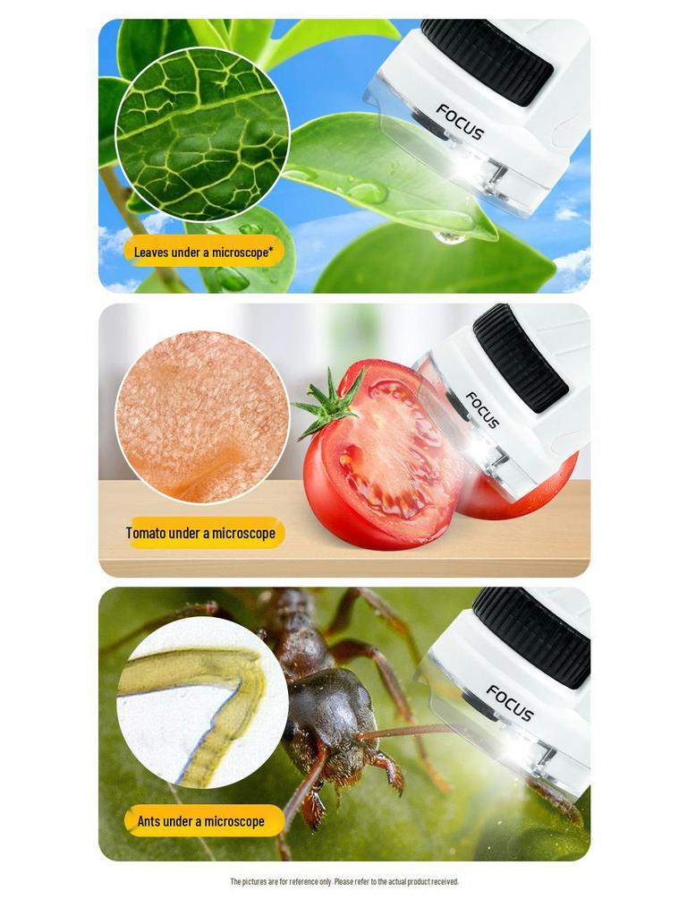 Portable Children's Microscope Science Experiment Set - Educational Toy for Primary & Middle School Students, Boys & Girls