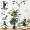 6-Inch Angel Ring Plant Light: Floor-Standing Full Spectrum Grow Light for Indoor Succulents and Green Plants