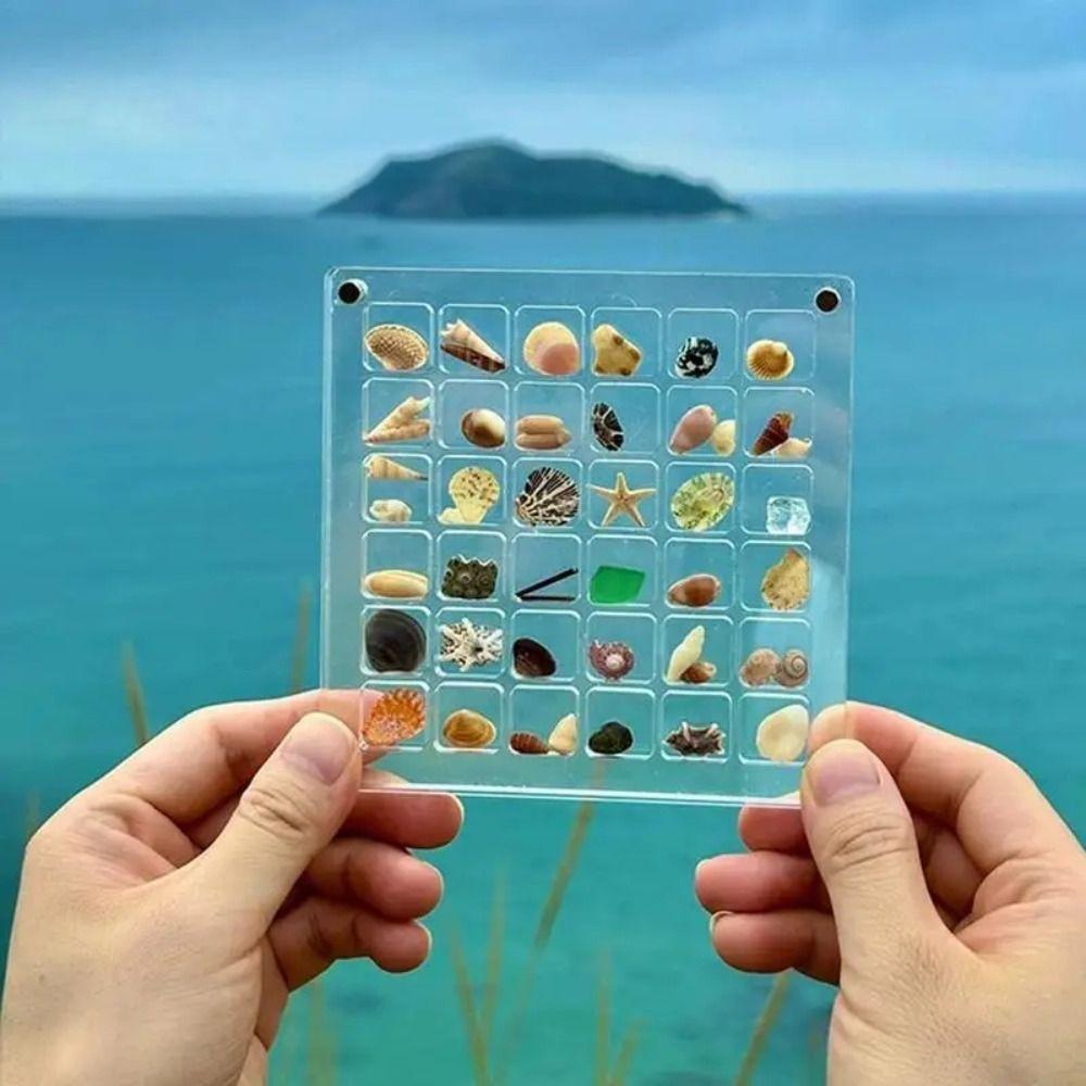 Transparent Magnetic Seashell Display Box Mini Small Craft Organizers Compartment