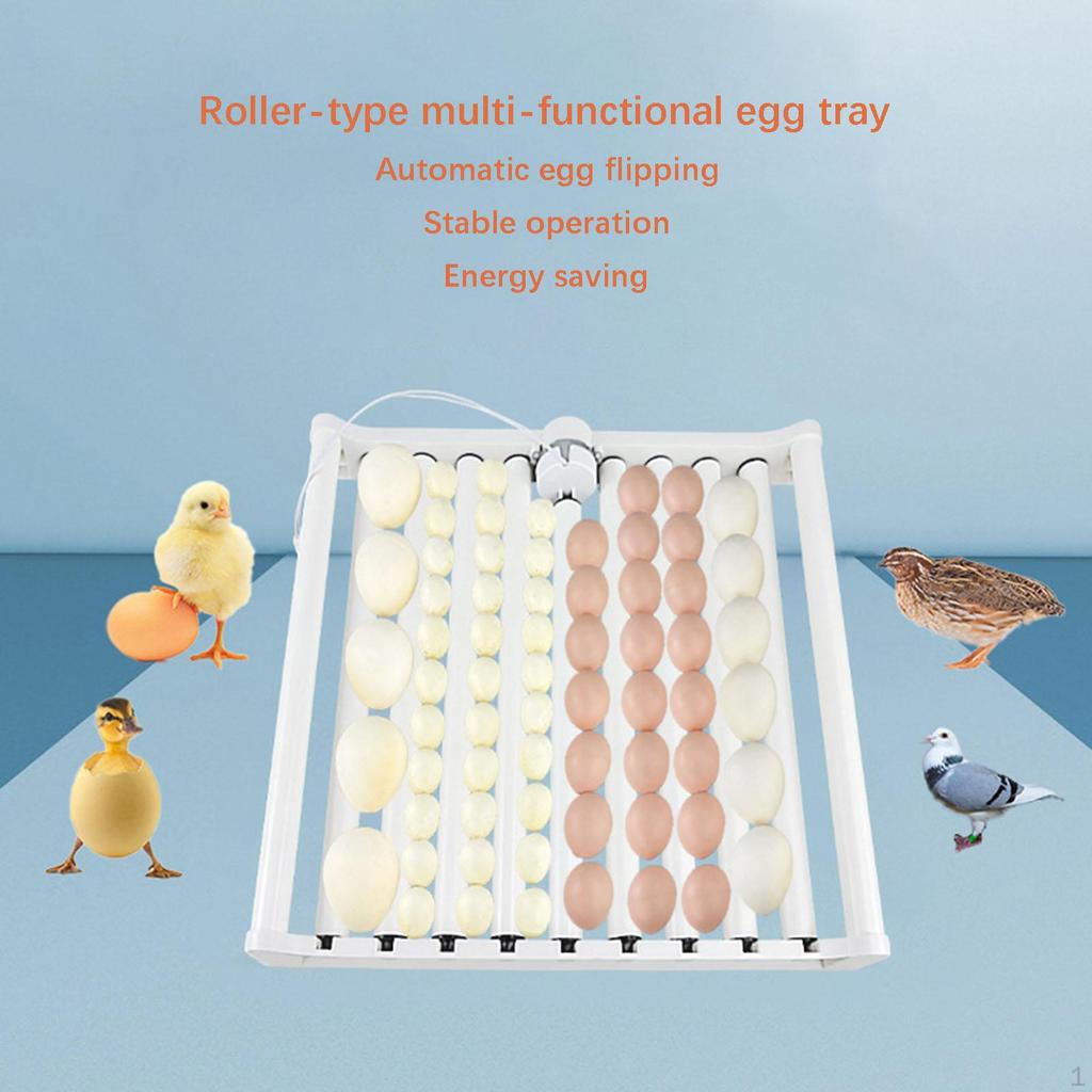Chicken Egg Incubator Lightweight Incubation Tray for Quail Pigeon Goose Holds 70 Eggs