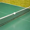 Durable Table Tennis Ping Pong Net Replacement Training Practicing Accessory