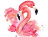 Glasplatte Schneidebrett 52x40 Flamingos
