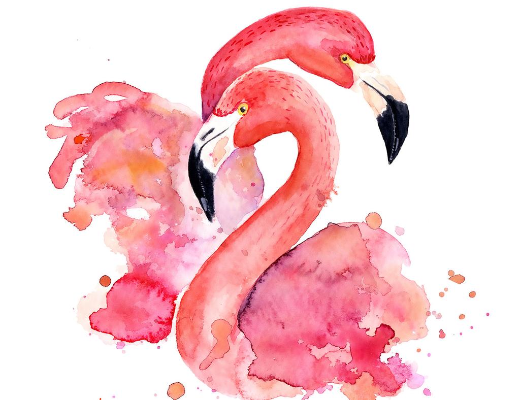 Glasplatte Schneidebrett 52x40 Flamingos