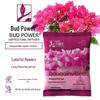 Bud Power Bougainvillea Organic Fertilizer for Potted and Garden Plants