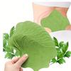 Wormwood Stickers Pain Relief Patches Back Knee Neck Muscle Relaxe Medical Joint Patch Body Health Care