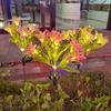 Solarbetriebene LED Outdoor Blumen Dekoration 7 Köpfe Simulationsblumenlampe Camping Dekor