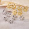 Women's 2025 Titanium Steel Irregular Earrings - New Light Luxury Design