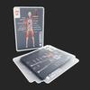 Mannequin Körper Deck Menschliche Anatomie Spiele Karten Vollständiges Skelett Röntgen Designs Hislaves The Body Deck Skelett Spiele Karten Set