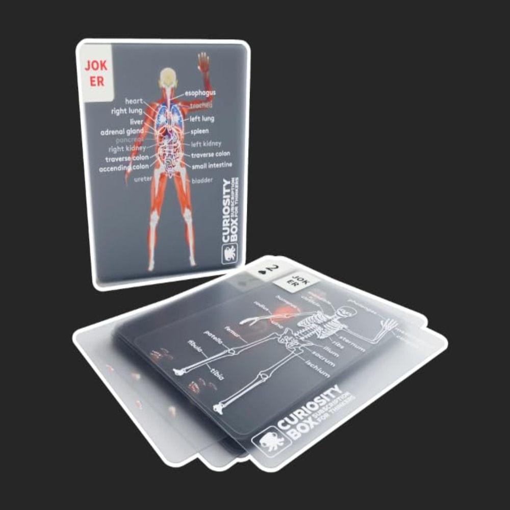 Corp Mannequin Deck Jocuri Anatomie Umană Cărți Schelet Complet Designuri Radiografie Hislaves Deck Corp Schelet Jocuri Cărți Kit