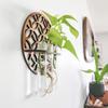 Cross-Border Round Solid Wood Plant Storage Rack – Simple Wall-Mounted Test Tube Wooden Decor for Bedroom.