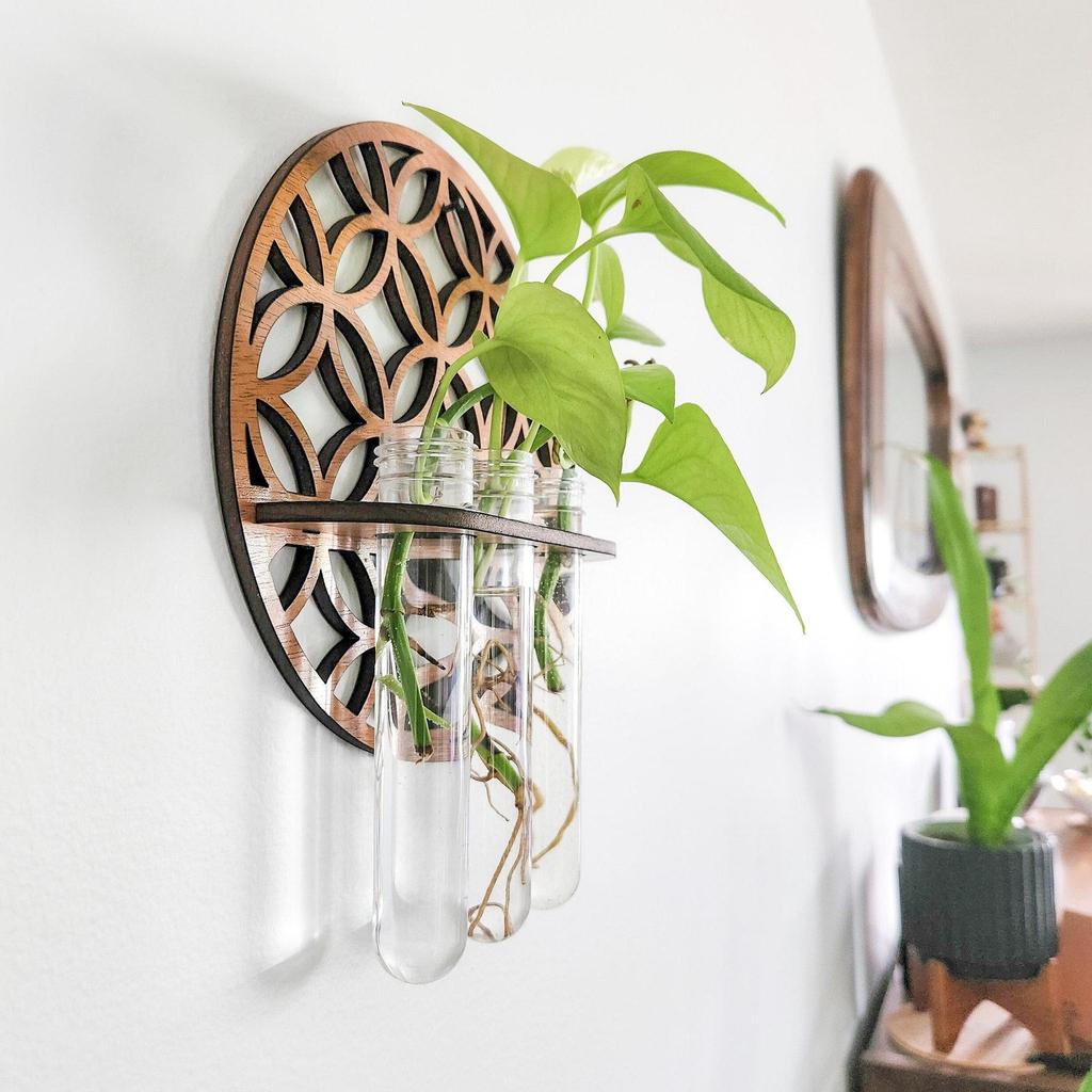 Cross-Border Round Solid Wood Plant Storage Rack – Simple Wall-Mounted Test Tube Wooden Decor for Bedroom.