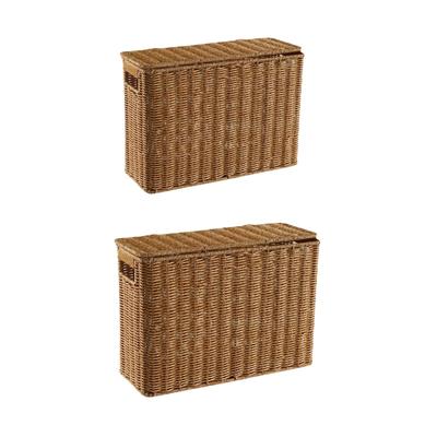 Narrow and Tall Storage Box Narrow Basket Bin for Living Room Office Kitchen