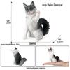 Solid Orange Persian, Ragdoll, Somali, and Blue Short-haired Cat Simulation Models