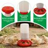 1l/1kg Poultry Chicken Feeder And Waterer Water Food Bucket Dispenser Automatic Birds Chick Waterer Feeding Livestock Supply