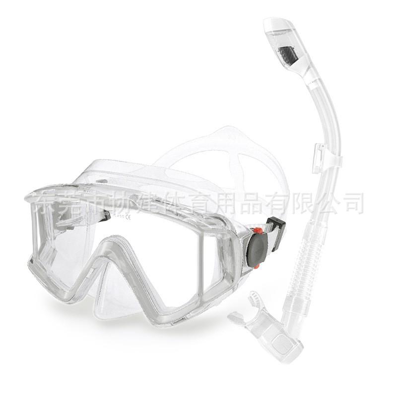 Adult Snorkel Set Anti-Fog Diving Mask Full Dry Breathing Tube Swimming
