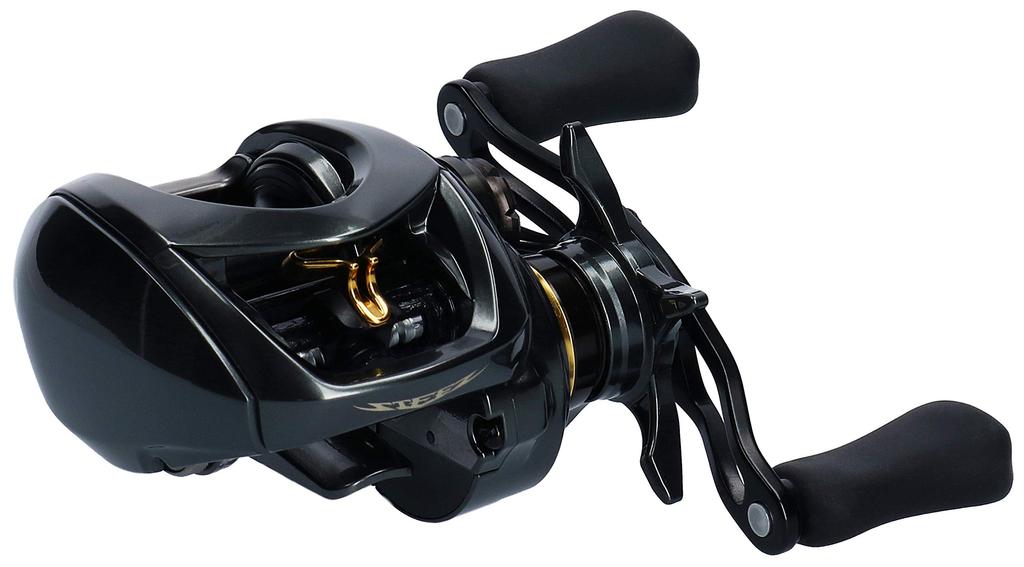 DAIWA Baitcasting Reel 19 Steez CT SV TW 700HL (2019 Model)