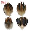 10-15Cm Pheasant Feathers Natural Tail Ringneck For Crafts Long Bulk 50Pcs Plumas Pictures Salon Easter Decoration Goose Trim