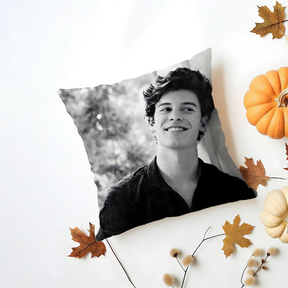 Singer SShawn Mendes Cushion Cover Iceland Washable Linen Soft  for Daily Sofa Bed Home Room Decor